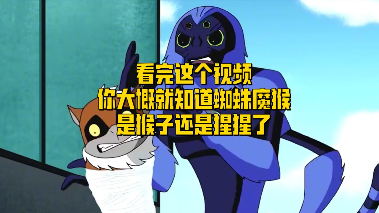 看完这个视频你大概就知道蜘蛛魔猴是猴子还是猩猩了