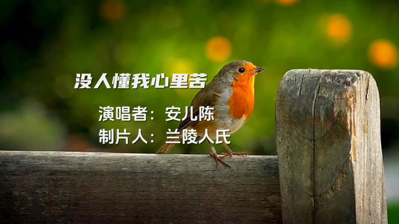 网络歌曲《没人懂我心里苦》,安儿陈演唱