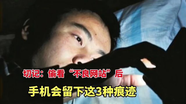 切记:偷看“不良网站”后手机会留下这3种痕迹,网友:不早说