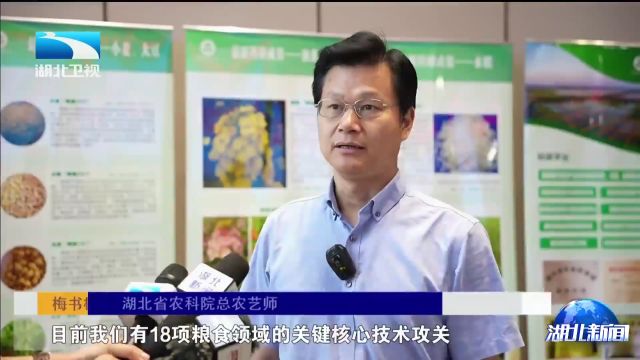 湖北纵深推进“五五”工程 455项农业科技成果集成示范