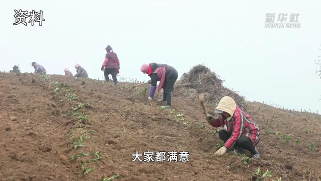 乡村振兴看石阡:生态治理开拓乡村治理新路子