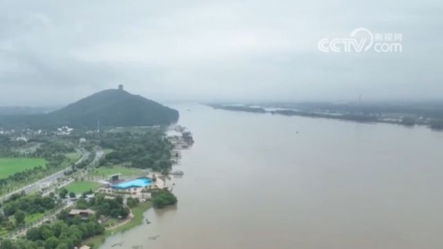 安徽马鞍山:多条河流水位超警,当地加强巡堤查险