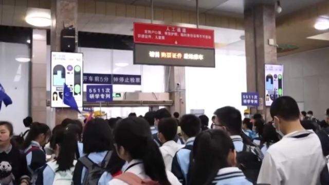 广西南宁:文旅市场进入“暑期档”,研学游热度持续攀升