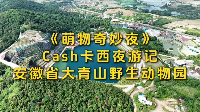 安徽大青山野生动物园《萌物奇妙夜》Cash卡西夜游记光语境