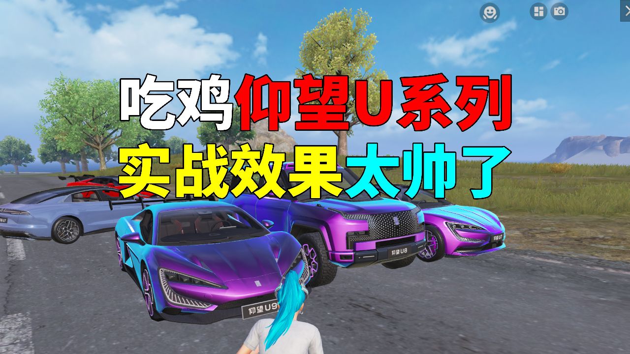 吃鸡仰望u系列的载具皮肤