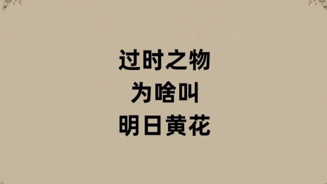 过时之物为啥叫明日黄花?