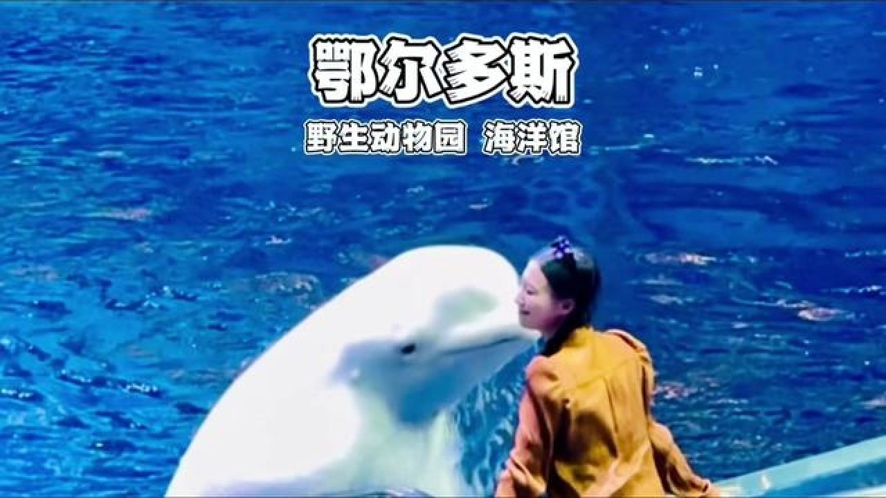 鄂尔多斯野生动物园海洋馆攻略!