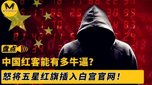 中国红客能有多牛逼？八万红客对抗鹰酱，怒将红旗插入白宫官网。_高清1080P在线观看平台_腾讯视频