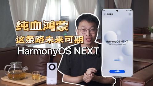 很幸运，体验到了纯血鸿蒙的HarmonyOS NEXT