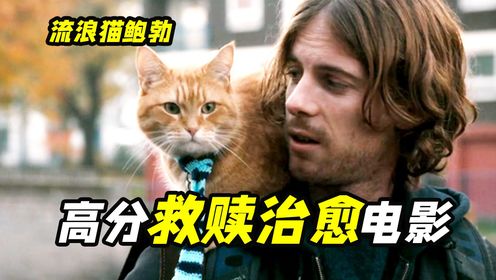 英国最火的猫咪？它的出现帮男主戒了毒瘾，治愈电影《流浪猫鲍勃》