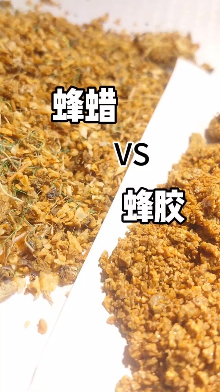 沙枣胶的功效与作用图片