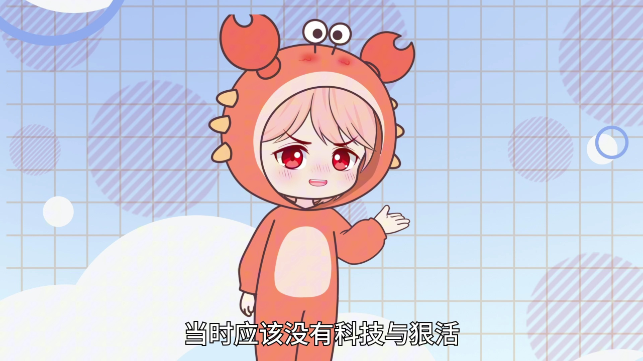 大画星座之历史课 13集