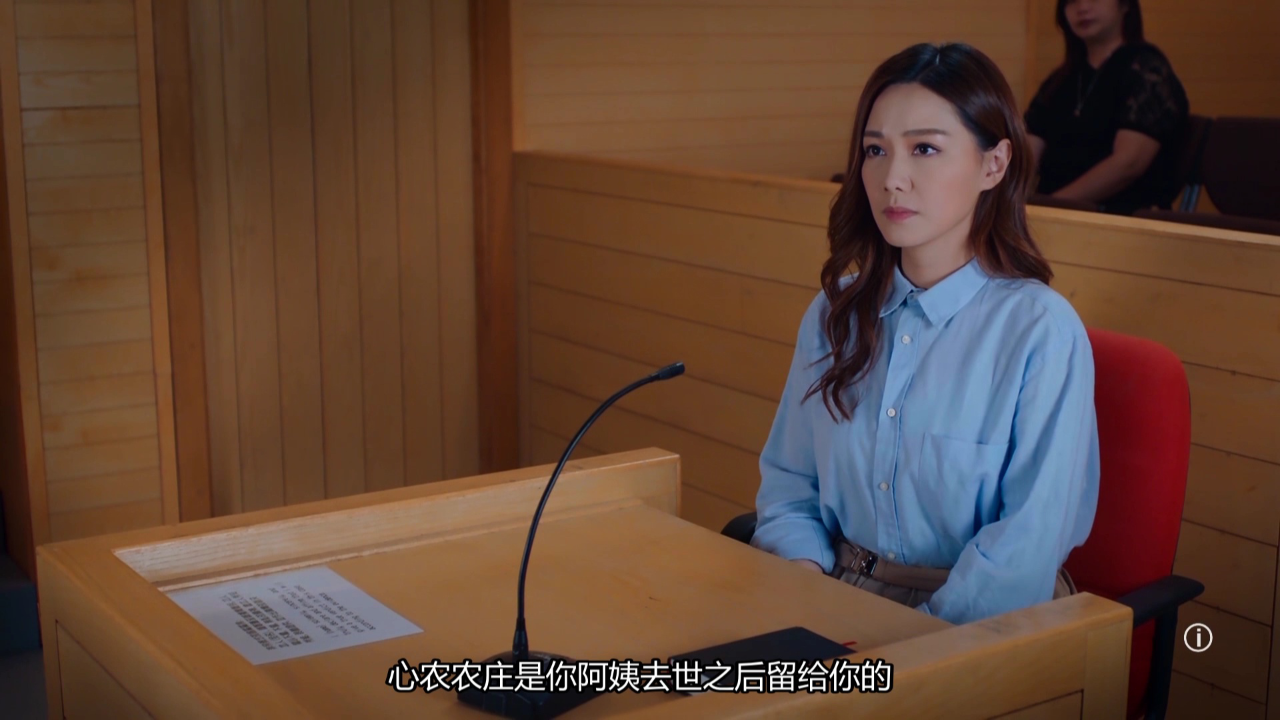 双生陌生人[普通话版] 25集