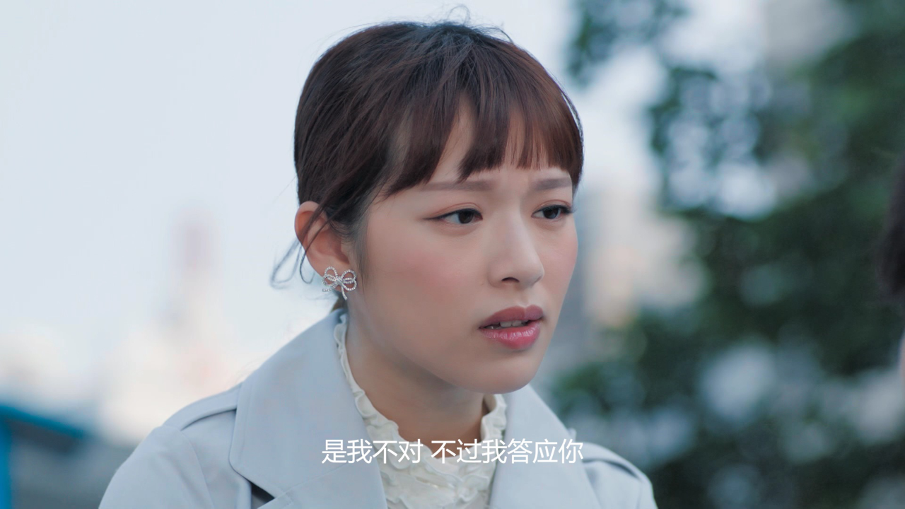 反黑路人甲[粤语版] 12集