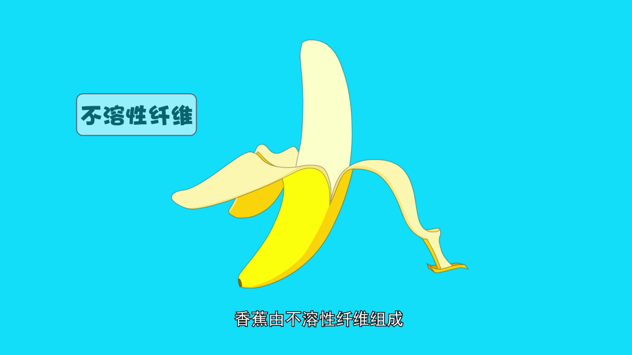 丫丫的日常百科 第五季 26集
