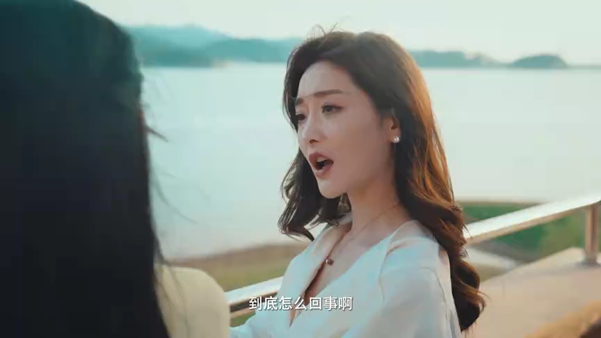 别走好吗别西君 17集