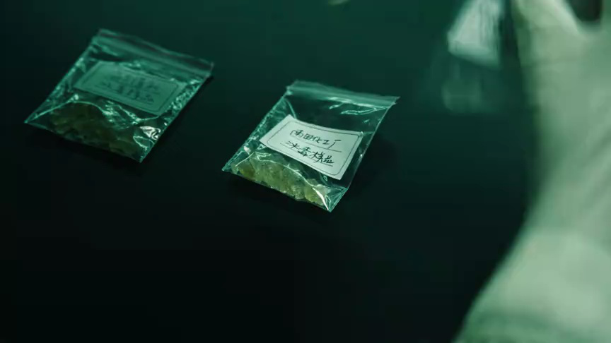扫毒风暴 22集