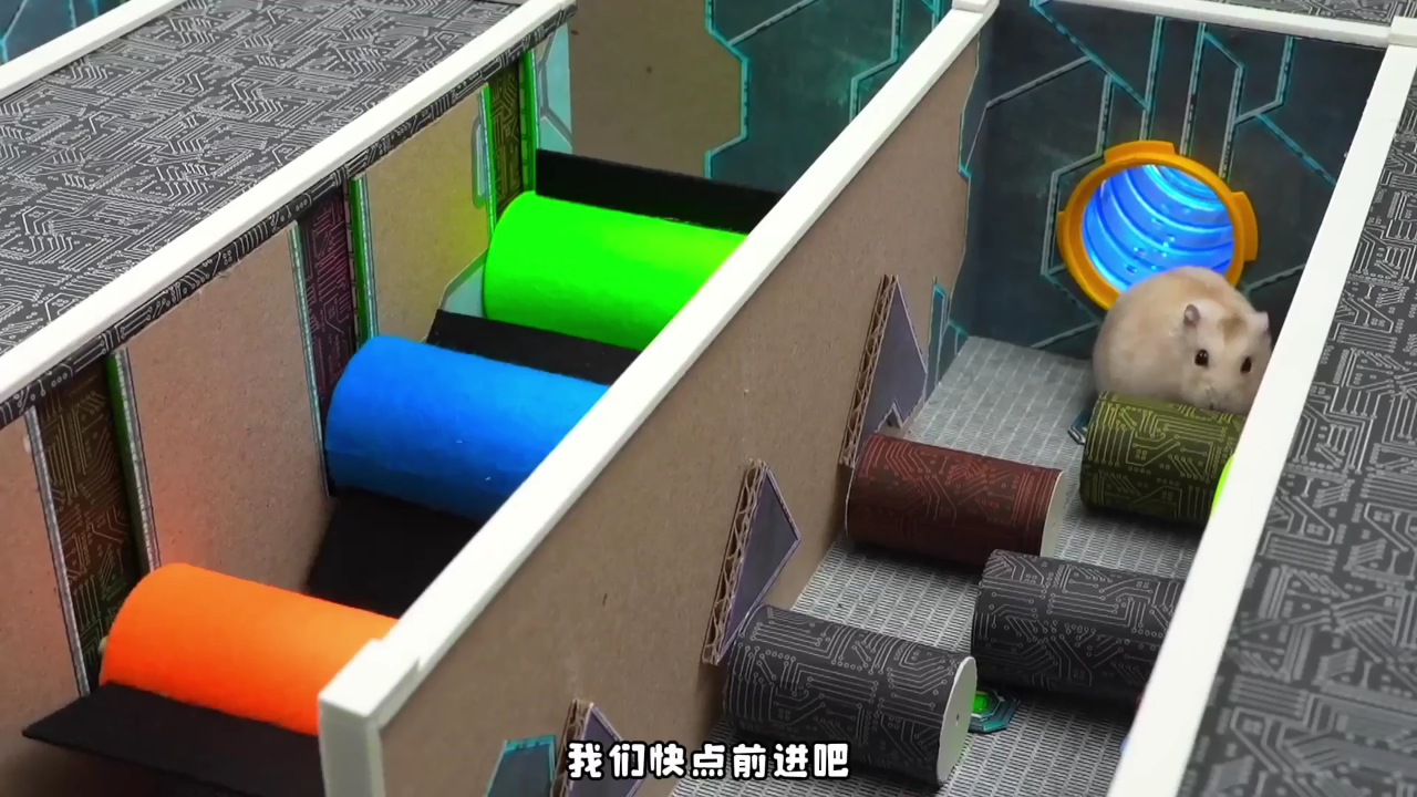 小仓鼠闯关乐园第二季 15集