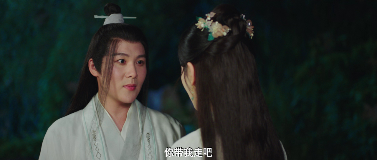 提剑映桃花 20集