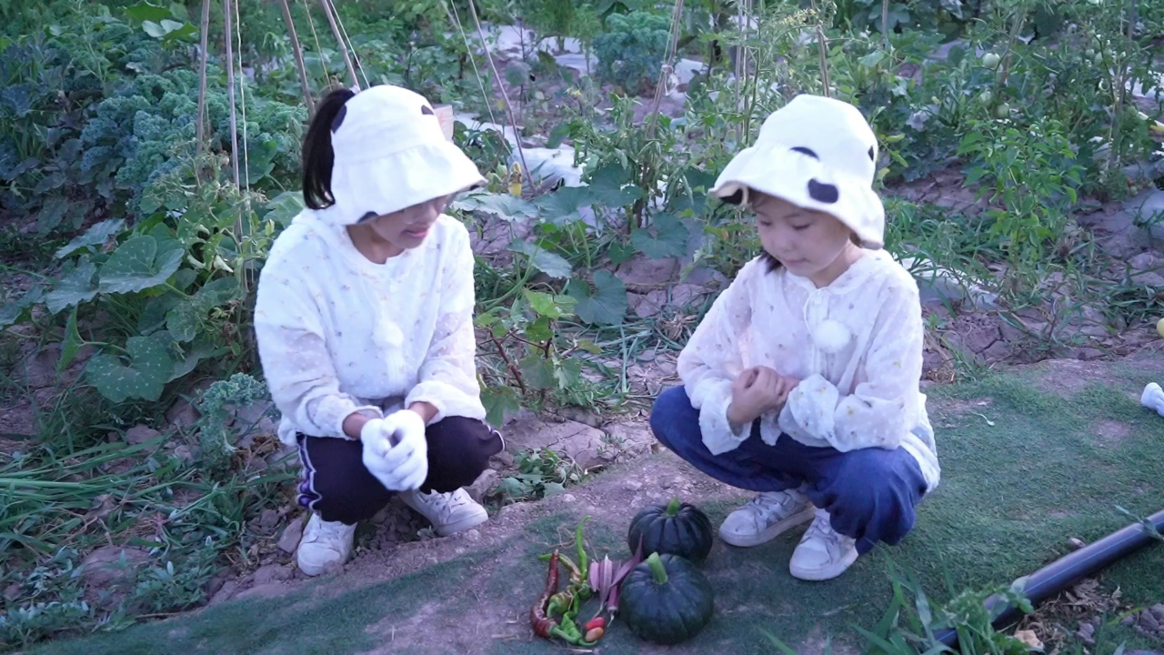 苏菲亚故事 582集