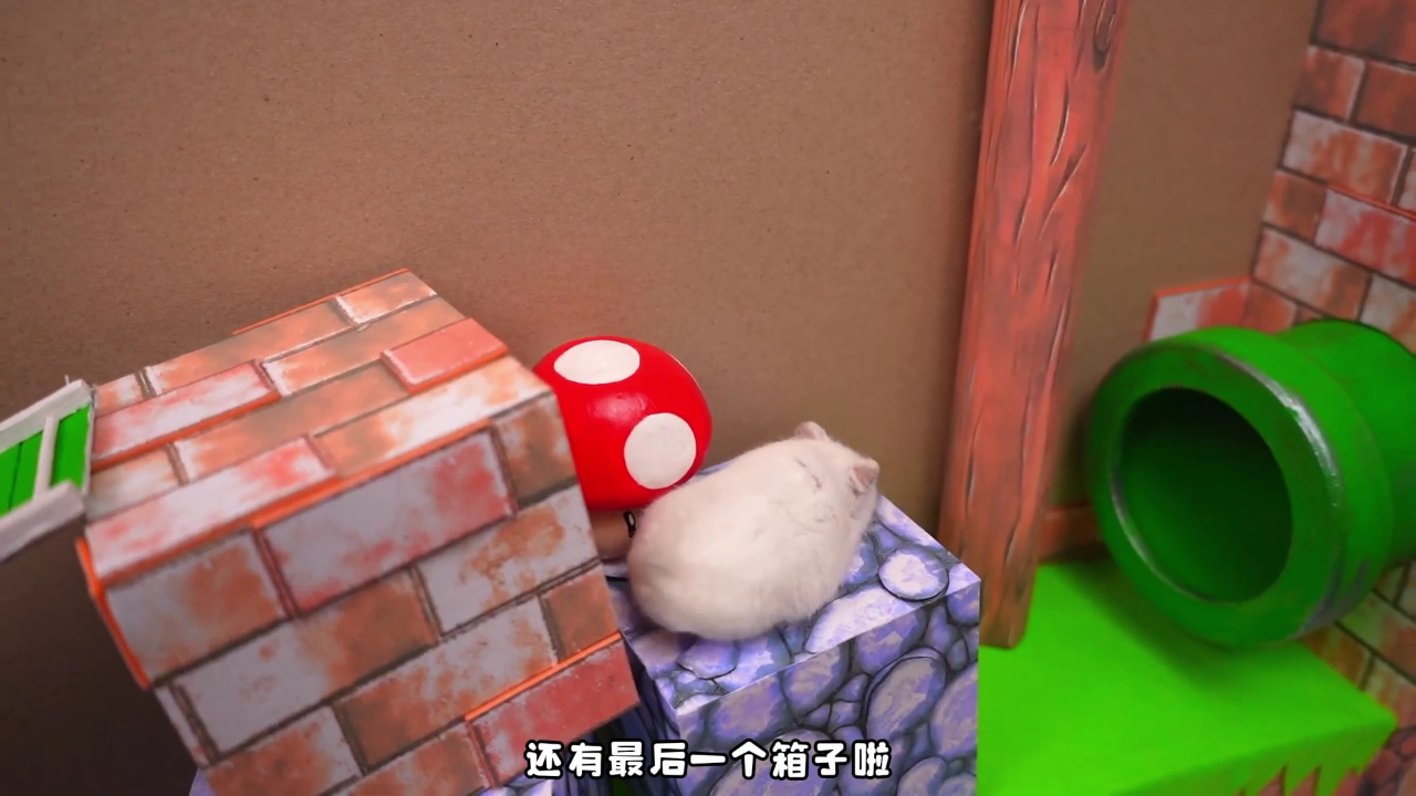 小仓鼠闯关乐园第二季 39集