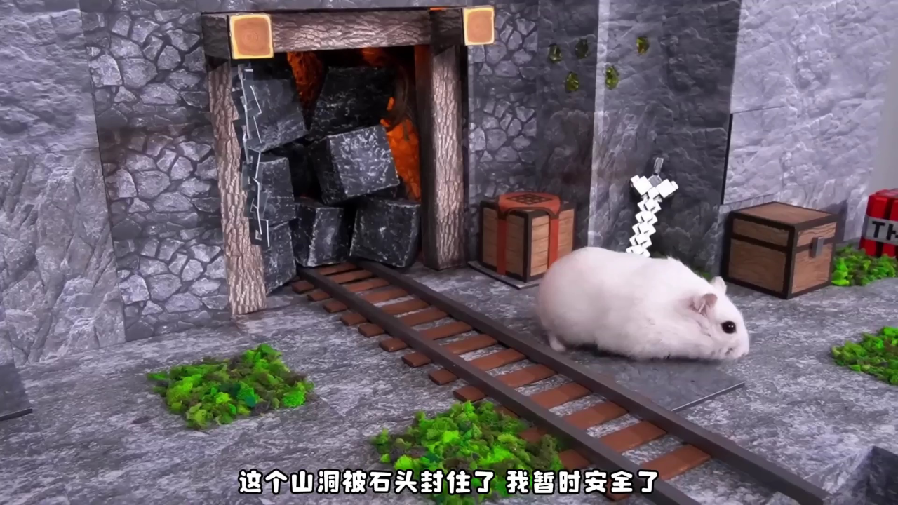 小仓鼠闯关乐园第二季 5集