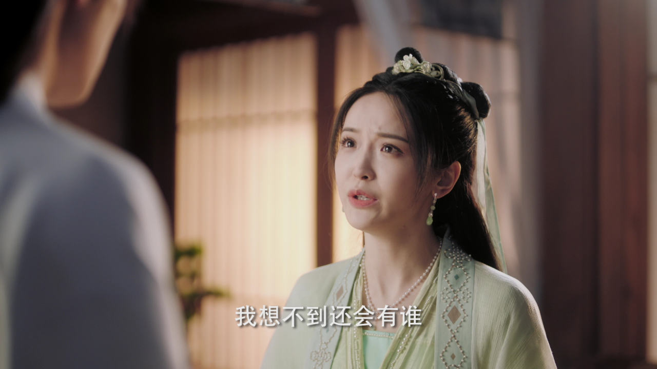 陆昭昭的刺客笔记 20集
