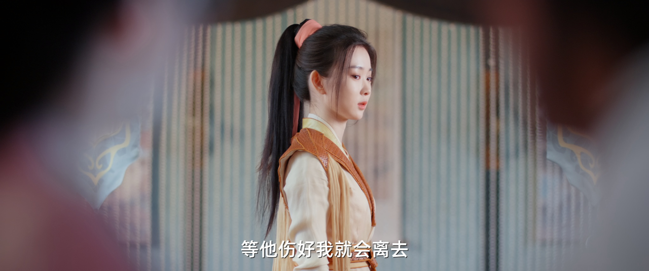 见卿卿 10集