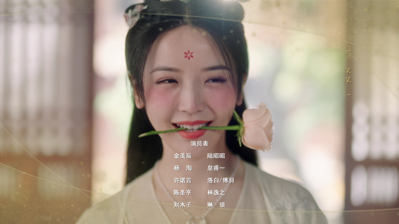 陆昭昭的刺客笔记 19集