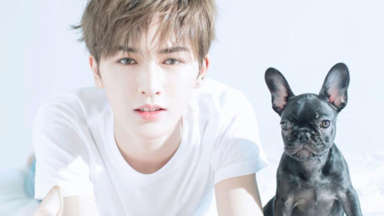 朱正廷的狗五百万去世,疑似被人投毒,为看着长大的婉婉公主惋惜