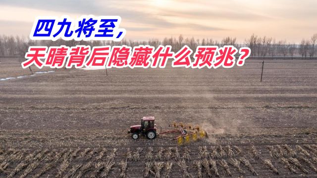 四九将至,俗语说“四九晴了天,农民一年闲”,2024年是何预兆?