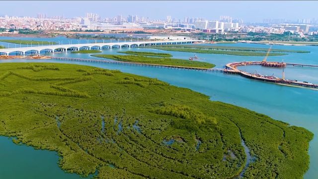 碧海银滩看厦门|红林碧水鱼翔跃 下潭尾因地制宜变身“城市绿肺”