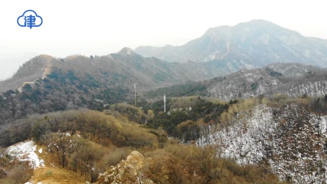 新春走基层 | 为了京津冀生态宝库 他坚守大山30多年