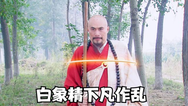 白象精下凡蛊惑人心,菩萨授意天将下凡抓捕白象