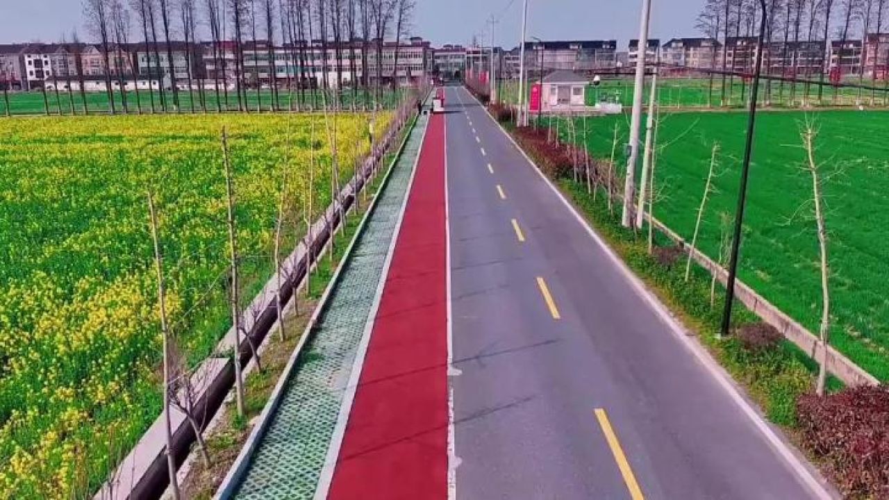 还有一周进入花期,来临平双桥村赏油菜花哦