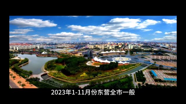 2023年111月东营各地财政收入, 广饶稳定五十亿,河口增速出众