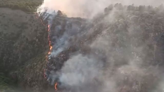 山西交城一地发生山火 当地正组织相关部门扑救