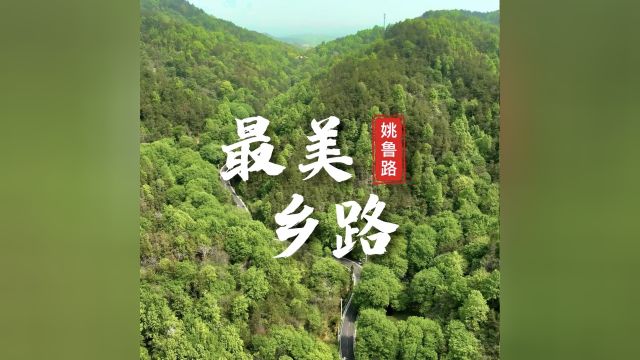 “最美乡路”姚鲁路:深秋暖阳万物藏,岁月沉香悦时光