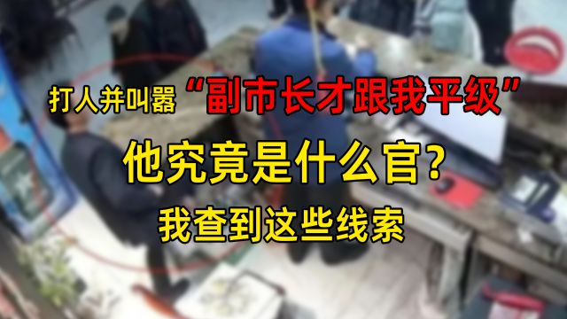 打人并叫嚣“副市长才跟我平级”他究竟是什么官?我查到这些线索