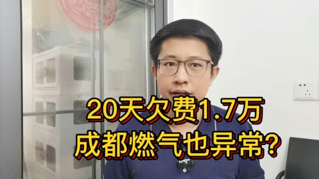 换新表后20天欠费1.7万,成都燃气背后的金主,浮出了水面