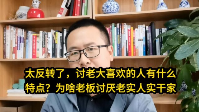 太拧巴!讨老大喜欢的人有什么特点?为啥老板都讨厌老实人实干家