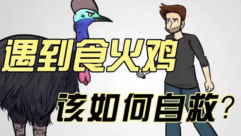 遇到食火鸡该如何自救?_高清1080P在线观看平台_腾讯视频