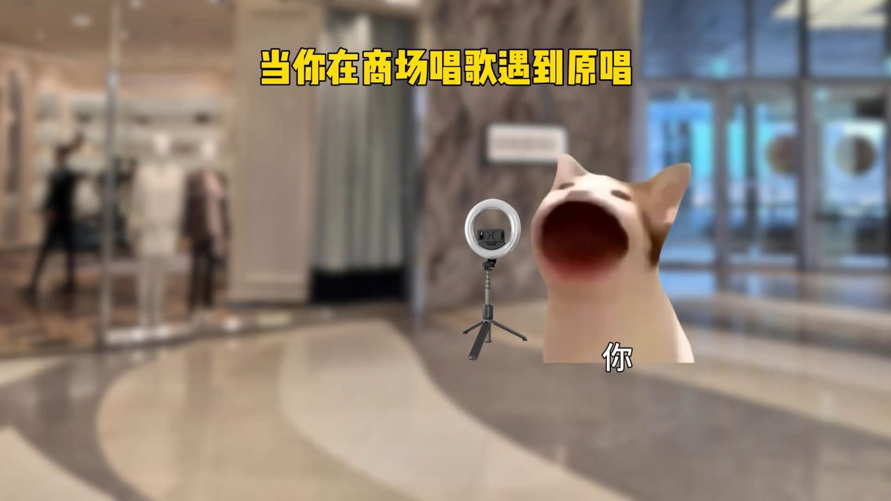 当你在商场唱歌遇到原唱#猫meme#音乐分享#戴上耳机#周文凯这个赛季杀疯了#周文凯新歌_高清1080P在线观看平台_腾讯视频