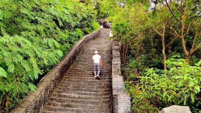 深圳美丽的求水山旅游攻略.