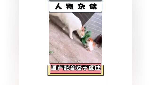 谁说国产配音不行的?!#配音 #搞笑 #声优都是怪物 #离谱