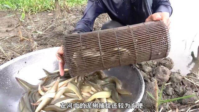 香酥可口的小鱼干,制作不易,但是味道鲜美!