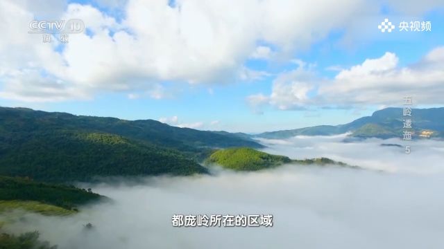 五岭独特的地理位置,造就了潇贺古道,使道县成为商业重镇