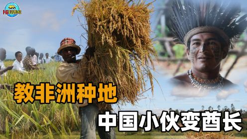中国小伙在非洲“种”水稻：产量超百万吨，养活80万人当上酋长！