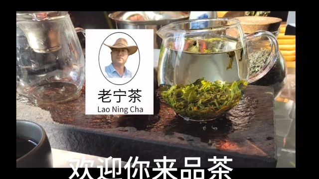 老宁把好喝干净的茶推荐给你!