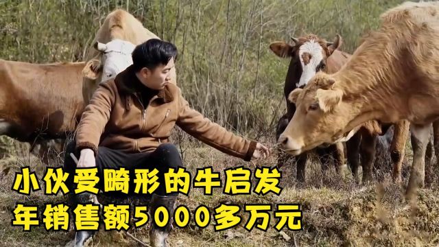 小伙受畸形的牛启发,改变了肉牛养殖方向,年销售额五千多万元!